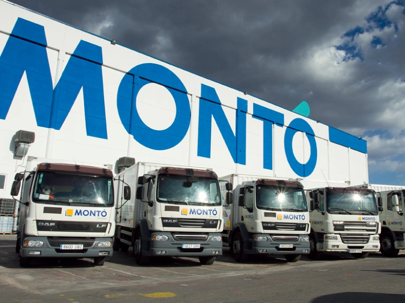 Monto distributie